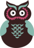 Owlbrown And Turquoise Image